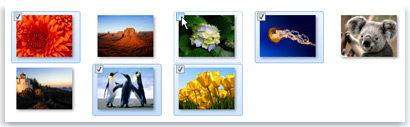 Picture of one check box cleared in a group of selected photos